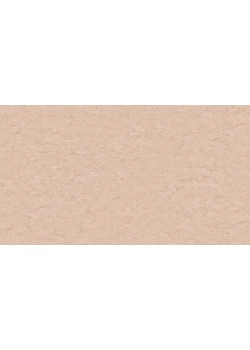 Линолеум Tarkett STYLE EMME xf²™ (2.5 mm) - Style Emme NUDE 723