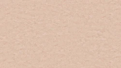 Лінолеум Tarkett STYLE EMME xf²™ (2.5 mm) - Style Emme NUDE 723