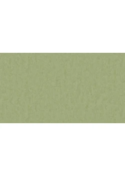 Линолеум Tarkett STYLE EMME xf²™ (2.5 mm) - Style Emme PEARS 753