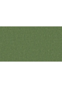 Линолеум Tarkett STYLE EMME xf²™ (2.5 mm) - Style Emme PINE 796