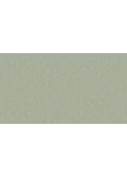 Линолеум Tarkett STYLE EMME xf²™ (2.5 mm) - Style Emme PISTACHIO 758