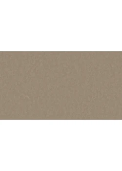 Линолеум Tarkett STYLE EMME xf²™ (2.5 mm) - Style Emme TOBACCO 730