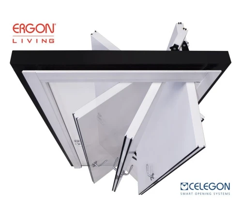 Роторная система Ergon