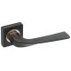 Ручки на розетах Gavroche SAMARIUM Sm - Z3 ORB/PB
