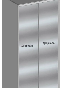 Шкаф-купе под заказ двухдверный Зеркало №48 15.01.2026