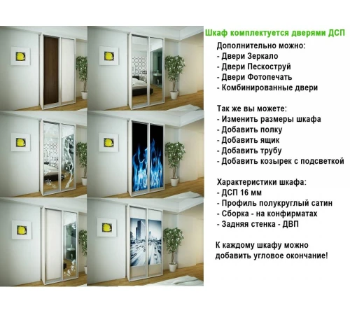 Шкафы-купе Деликатес DeNira 16-8