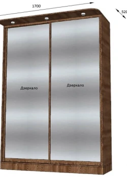 Шкаф-купе под заказ двухдверный Орех зеркало №7 06.12.2023