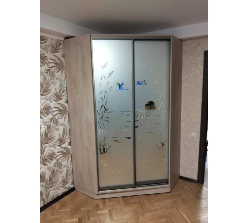 Меблі Шафа-купе №35 01.12.2024