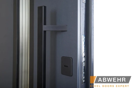 Двері Abwehr NEW Bionica з металом LAMPRE (KT(N)) (LP-5 Queen)