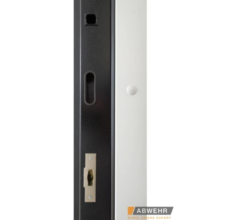 Входные Двери BIONICA 2 (BN2) LAMPRE (LP-5) антрацит Abwehr