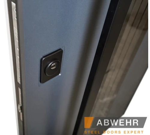 Входные Двери BIONICA 2 (BN2) LAMPRE (LP-5) антрацит Abwehr