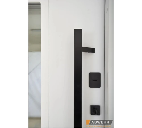 Входные Двери BIONICA 2 (BN2) LAMPRE (LP-5) антрацит Abwehr