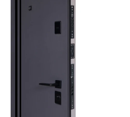 Входные Двери Ультра (квадро) Securemme 587/276 Мусоное дерево / Олово супермат Булат