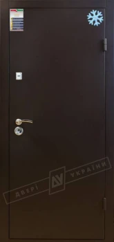 Двері Салют Метал-Метал "Двері України"