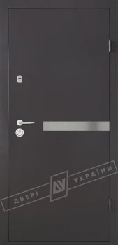 Двери Салют м/м RAL 8019 SL02 Двери Украины